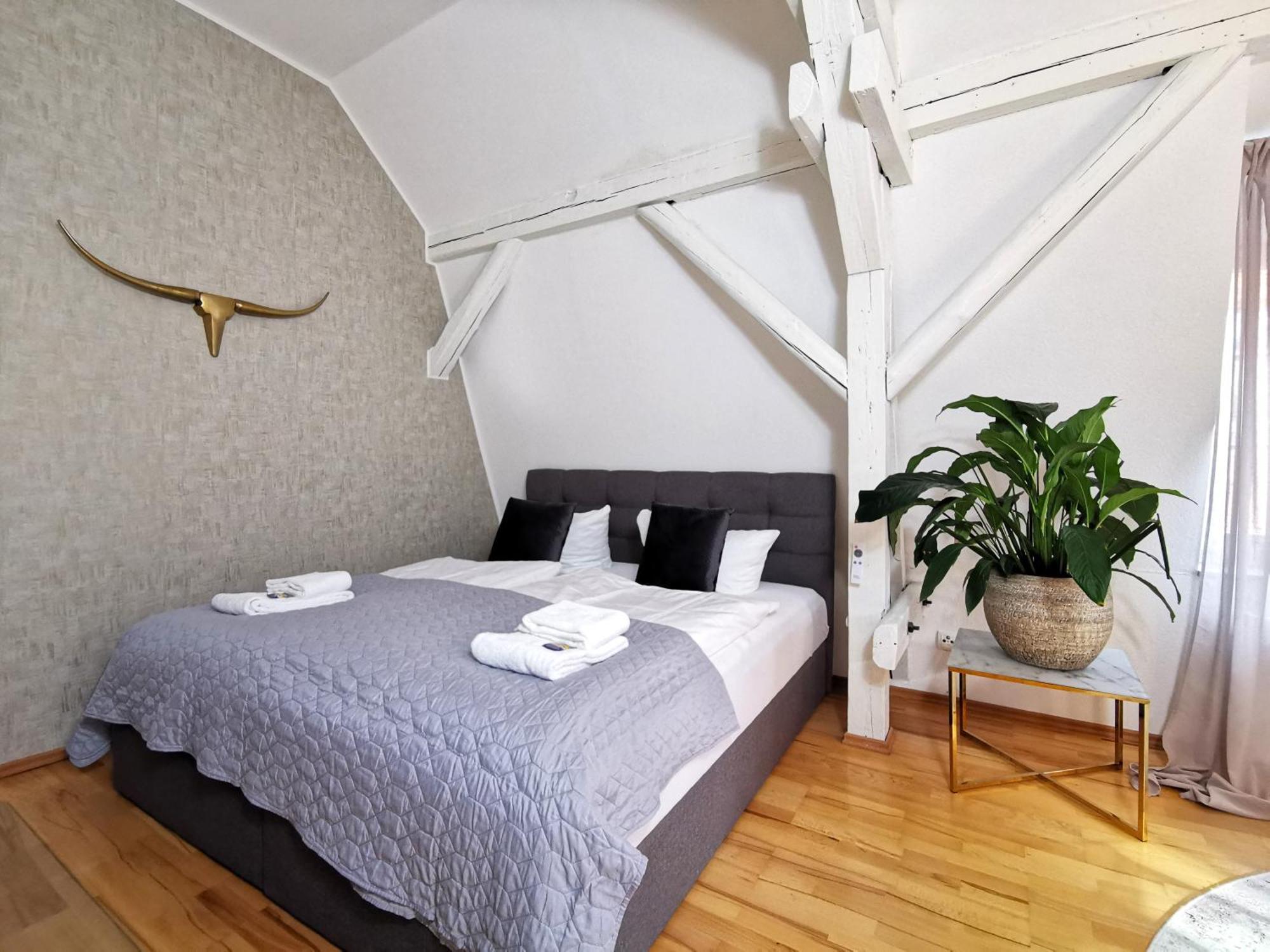 Bohnapartments Steigerwald - Natur In Der Stadt - Vollausstattung - Wlan - Gratis Parkplaetze 에르푸르트 외부 사진